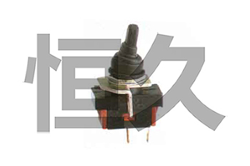 JN15-24/31.5戶內(nèi)高壓接地開關